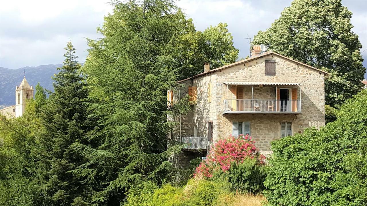 Housica&Co. Ucciani Exterior foto